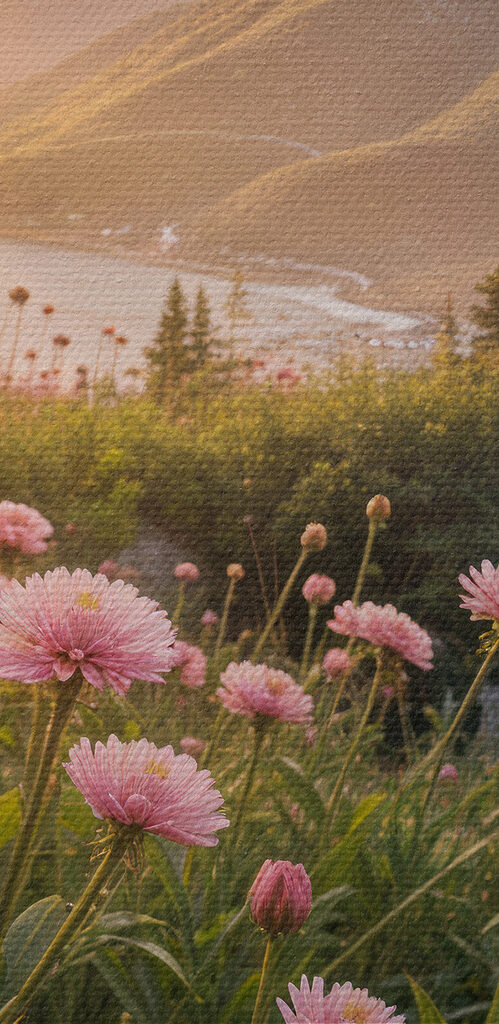 Field of pink flowers with a tree and mountains in the background Field of pink flowers with a tree and mountains in the background