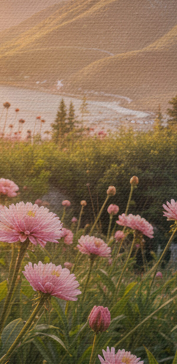 Field of pink flowers with a tree and mountains in the background Field of pink flowers with a tree and mountains in the background