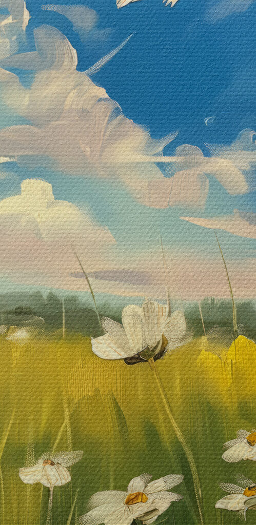 Field of white flowers