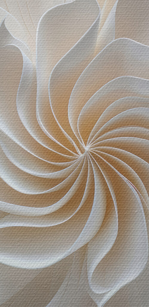 Close up of a flower