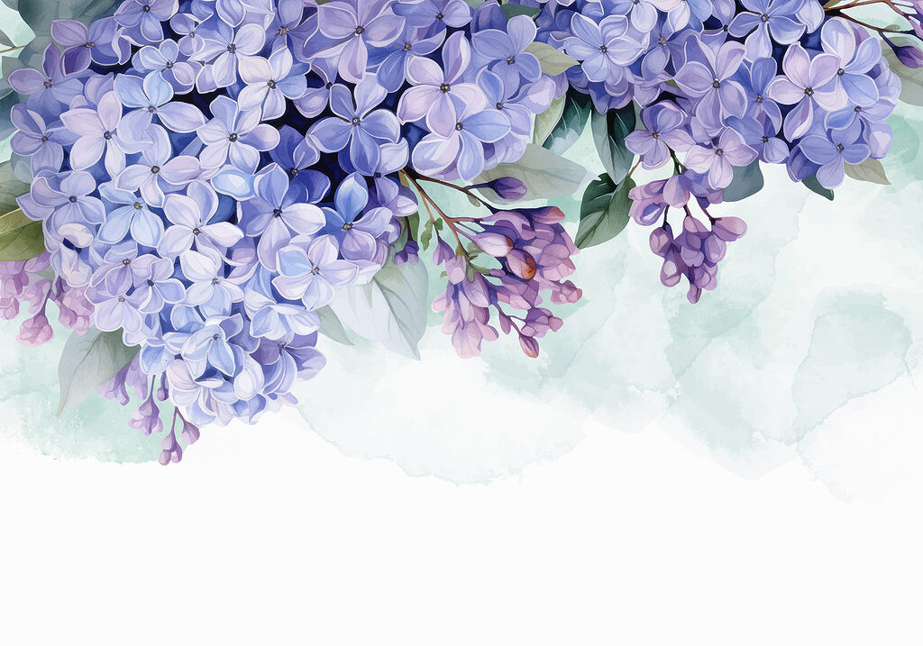 Mazzo di fiori viola Mazzo di fiori viola