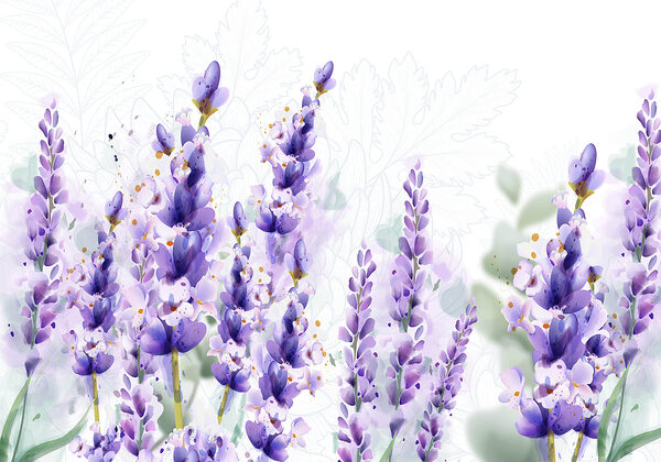 Gruppo di fiori viola Gruppo di fiori viola