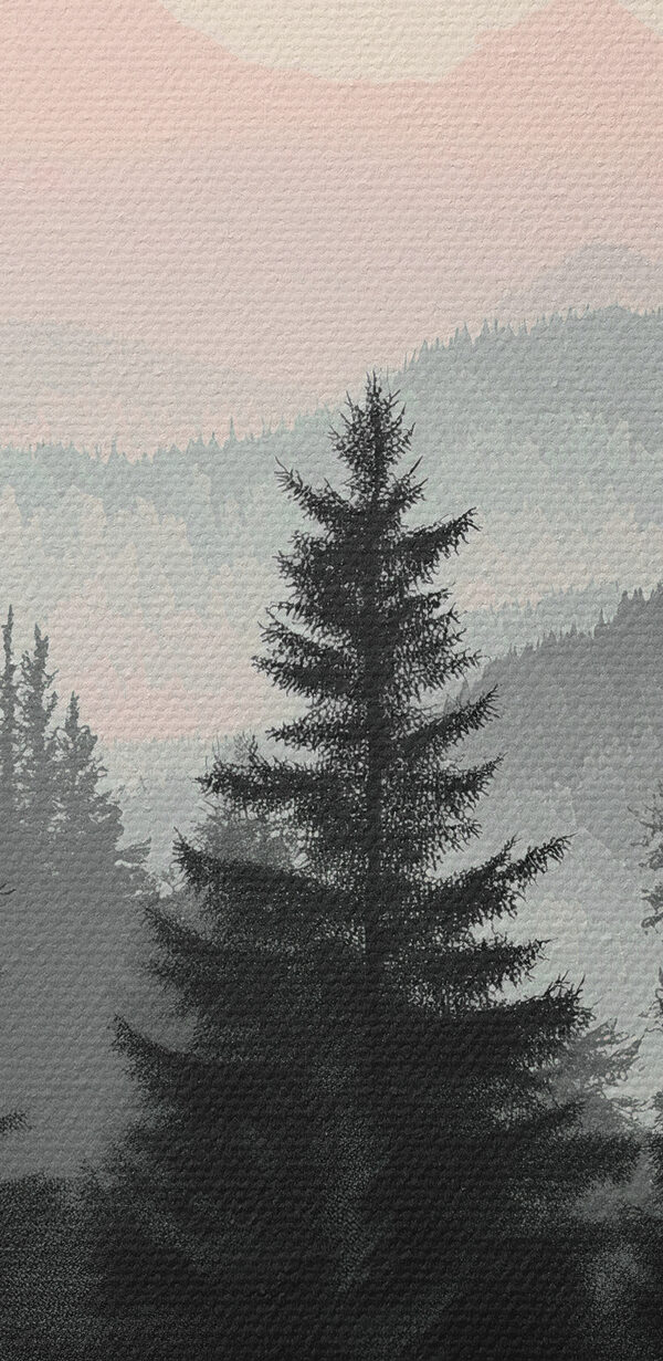 Group of trees in a forest Group of trees in a forest