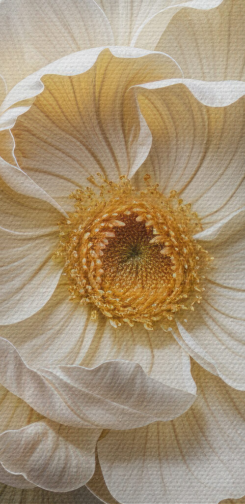 Group of white flowers with leaves on a blue surface