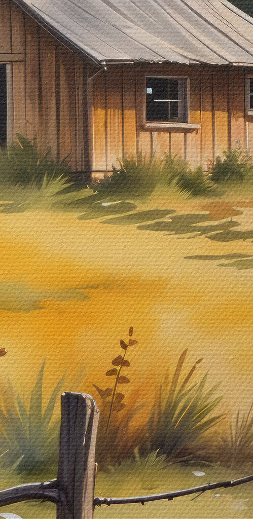 House in a field House in a field
