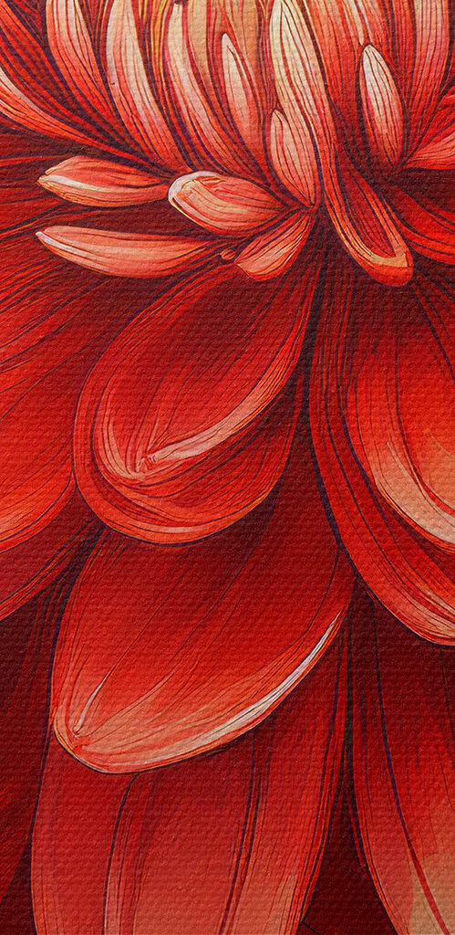 Close up of a flower Close up of a flower