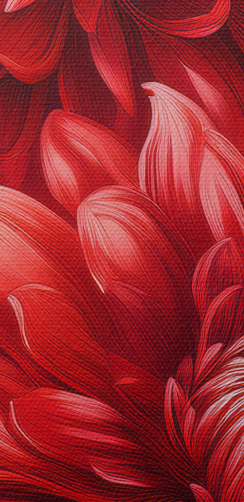 Close up of a red flower Close up of a red flower