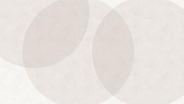 White and grey background with circles White and grey background with circles