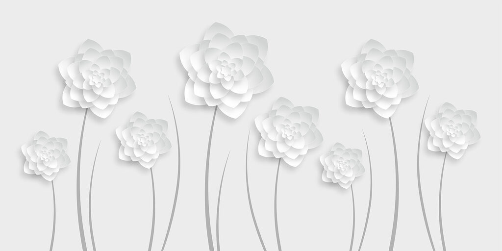 Fiori di carta bianca su sfondo bianco Fiori di carta bianca su sfondo bianco