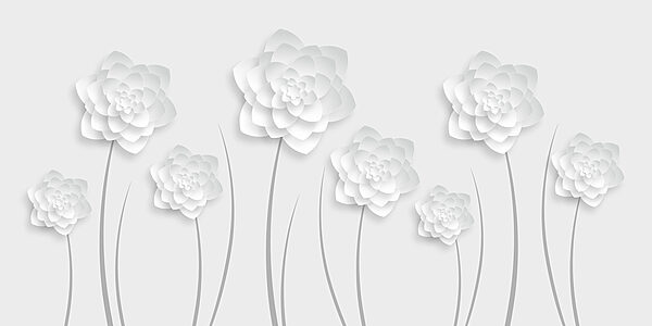 Fiori di carta bianca su sfondo bianco Fiori di carta bianca su sfondo bianco