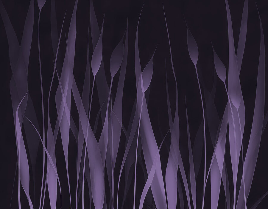 Erba viola con linee bianche