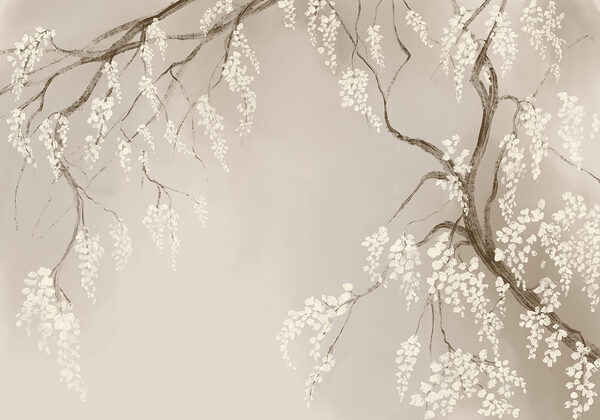 Ramo d'albero con fiori bianchi Ramo d'albero con fiori bianchi