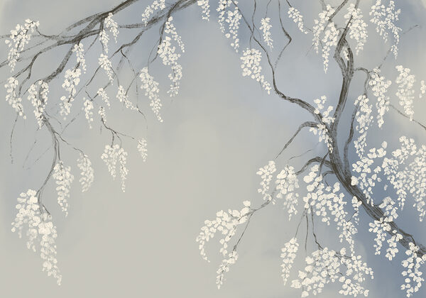 Ramo d'albero con fiori bianchi Ramo d'albero con fiori bianchi