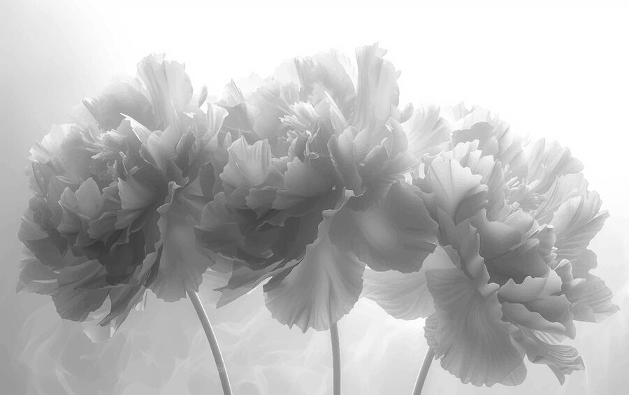 Gruppo di fiori su sfondo bianco