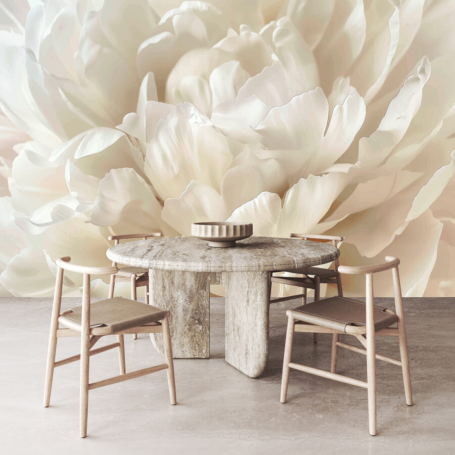 Primo piano di un fiore bianco
