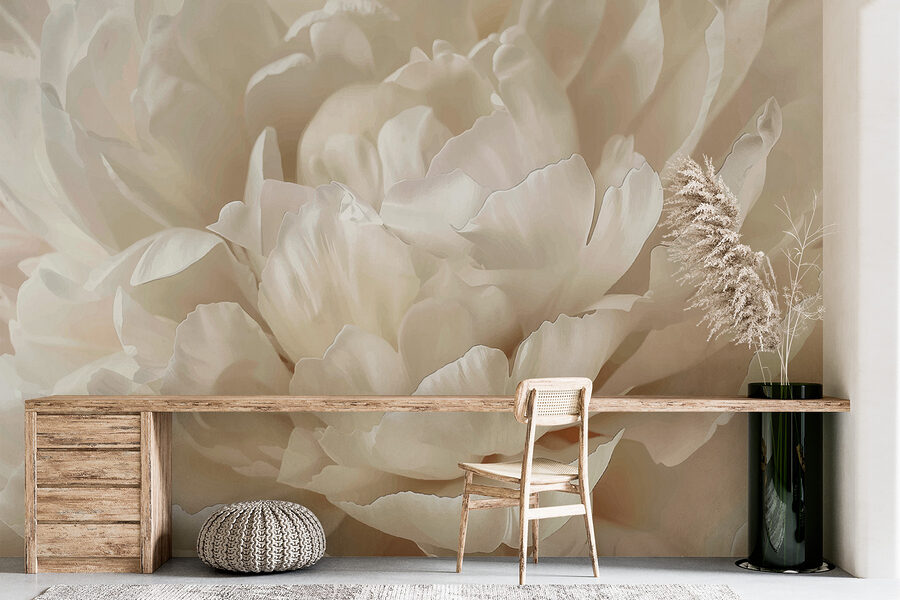 Primo piano di un fiore bianco