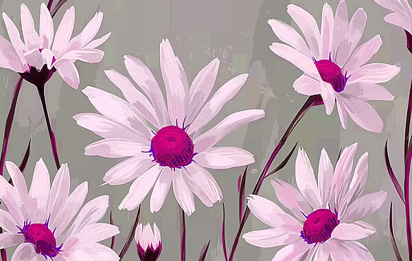 Gruppo di fiori bianchi con centro viola Gruppo di fiori bianchi con centro viola