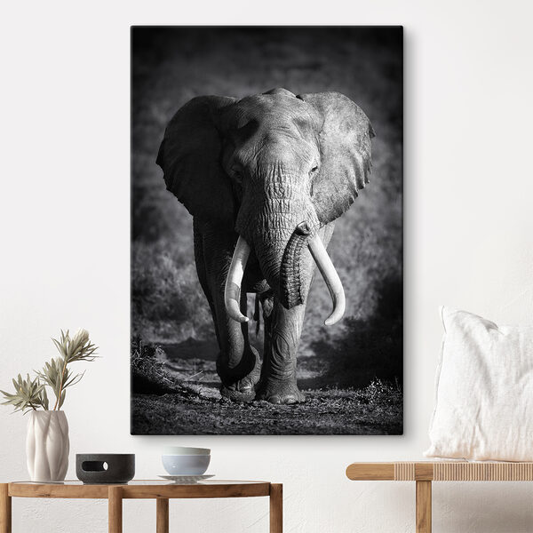 Quadri Un elefante con le zanne che cammina (COD: s08133) Quadri Quadri Un elefante con le zanne che cammina (COD: s08133)