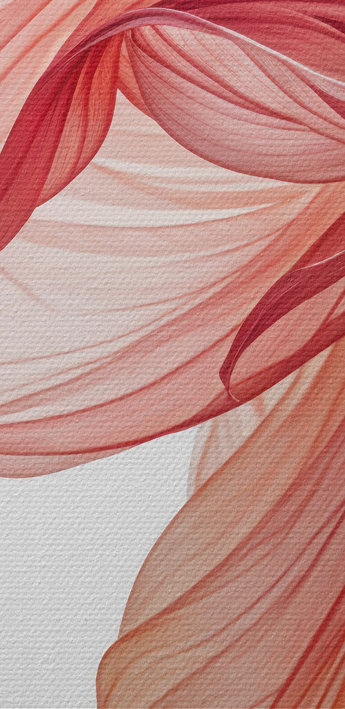 Close up of a flower
