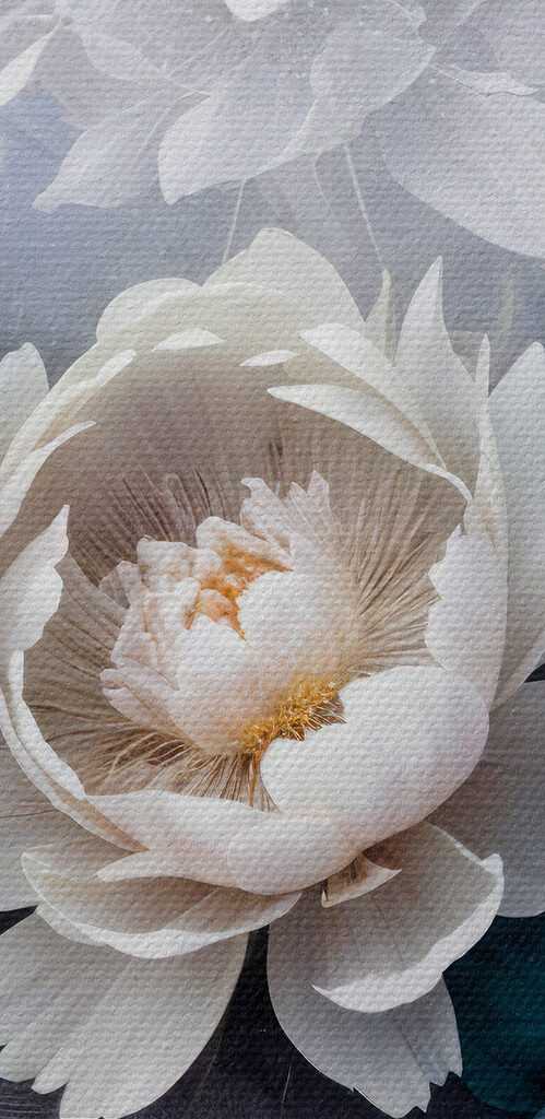 Group of white flowers