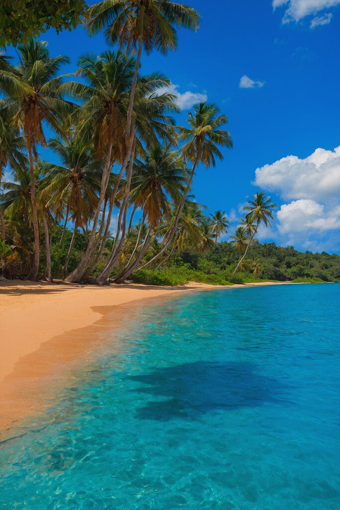 Beach with palm trees and blue water