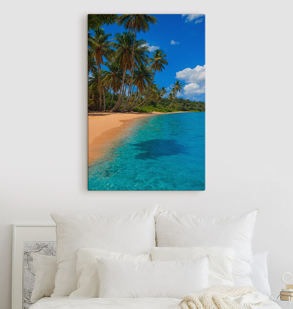 Beach with palm trees and blue water
