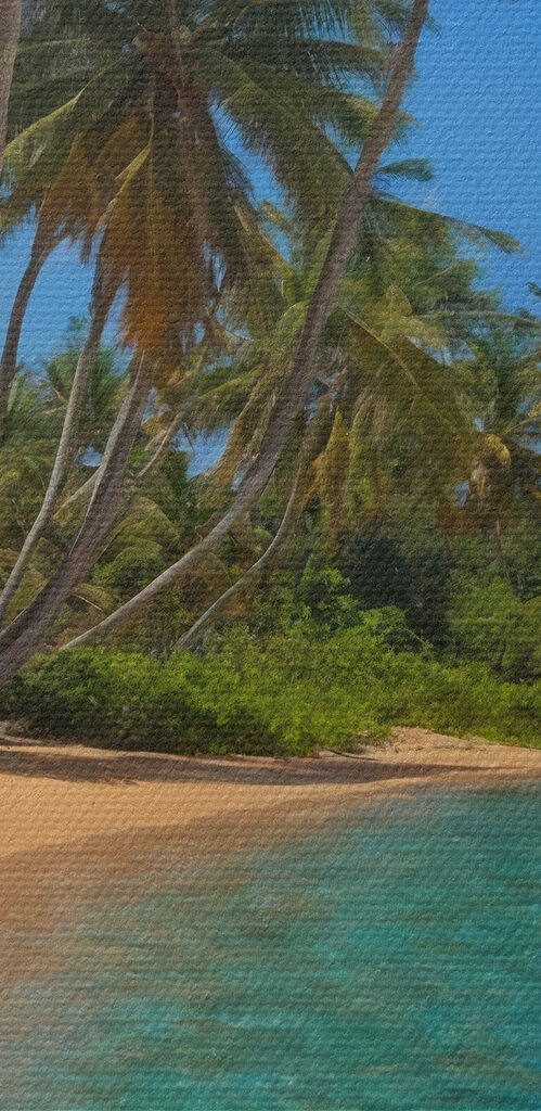 Beach with palm trees and blue water