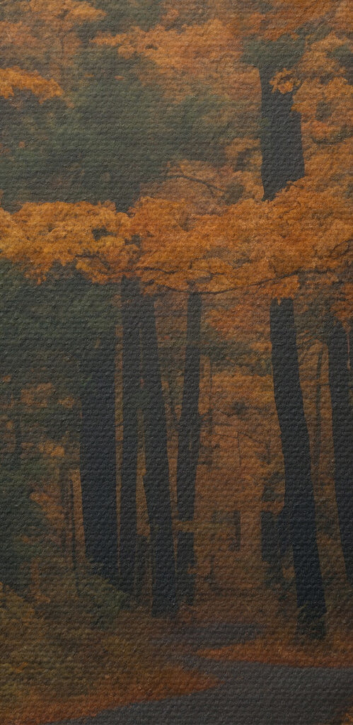 Path through a forest with orange leaves Path through a forest with orange leaves