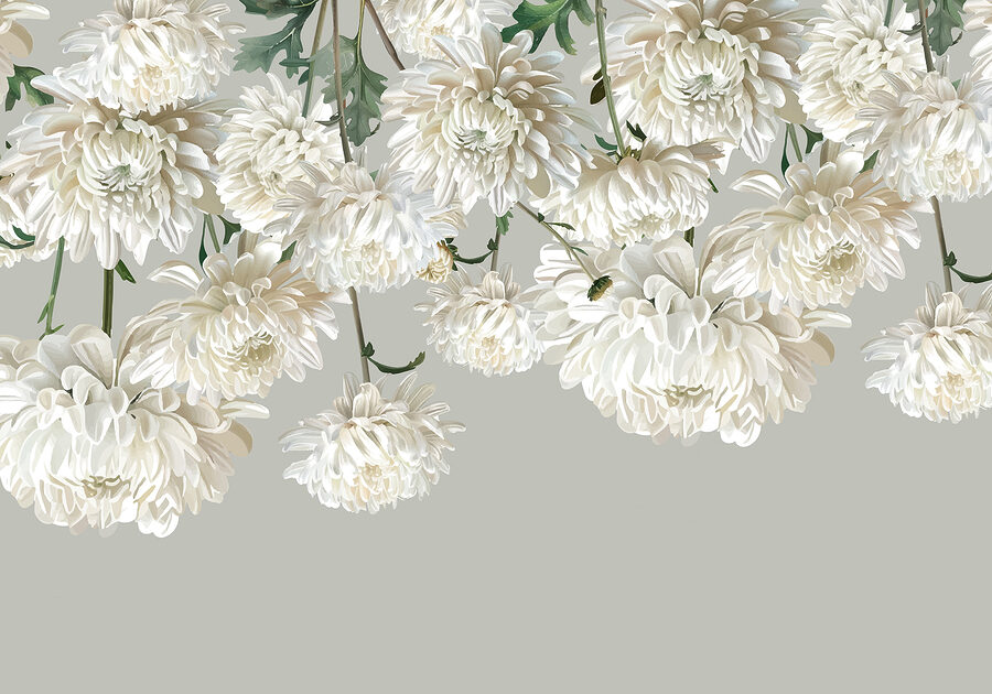 Gruppo di fiori bianchi