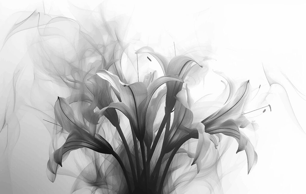 Immagine in bianco e nero di fiori Immagine in bianco e nero di fiori