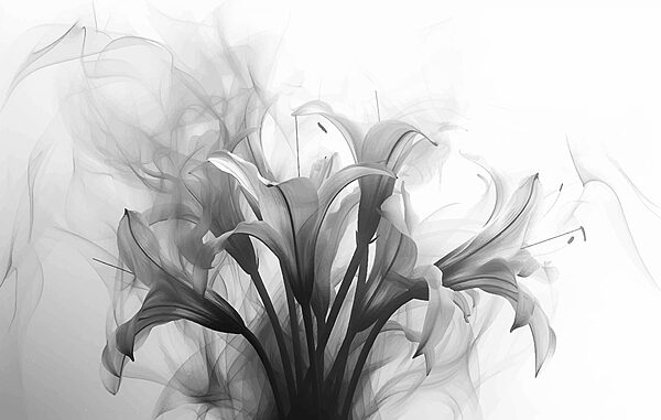 Immagine in bianco e nero di fiori Immagine in bianco e nero di fiori