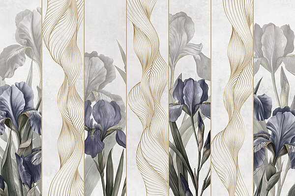 Iridi eleganti con curve delicate. Iridi eleganti con curve delicate.