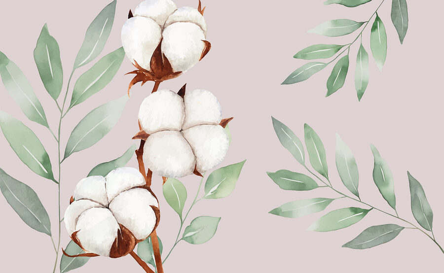 Fiori e foglie di cotone