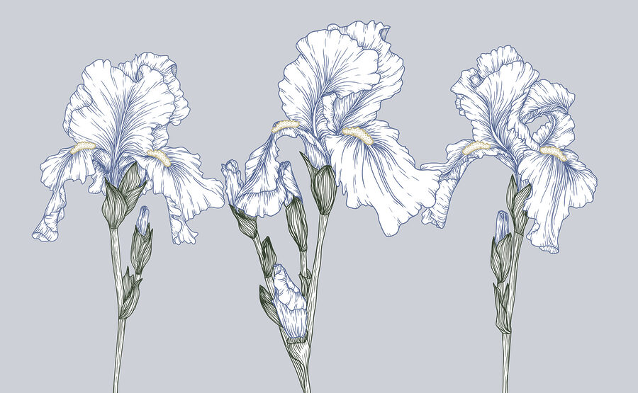 Gruppo di fiori bianchi