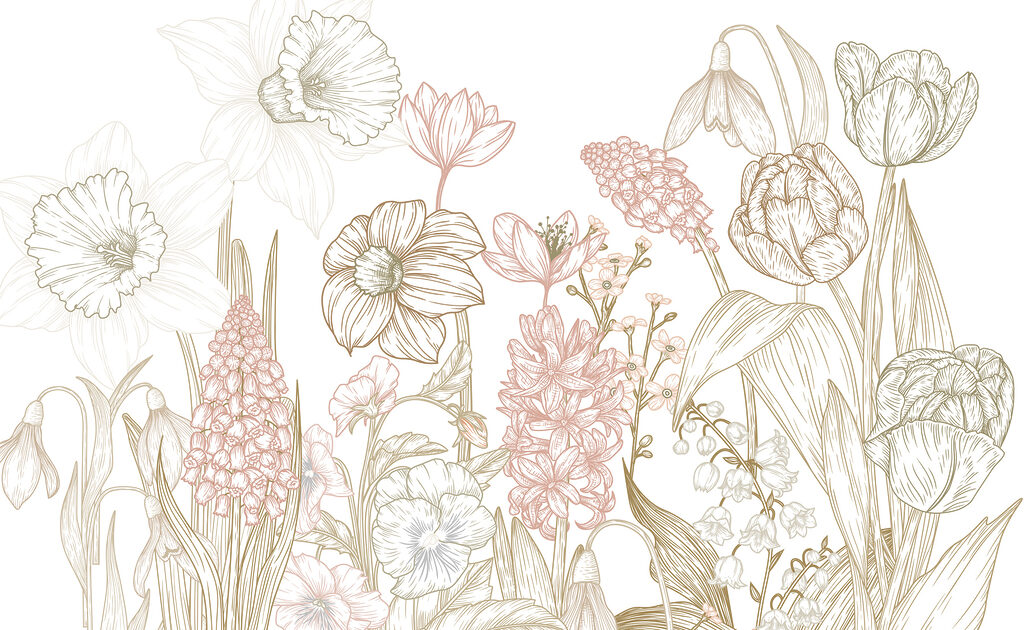 Disegno di fiori e piante Disegno di fiori e piante