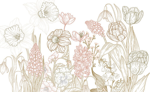 Disegno di fiori e piante Disegno di fiori e piante