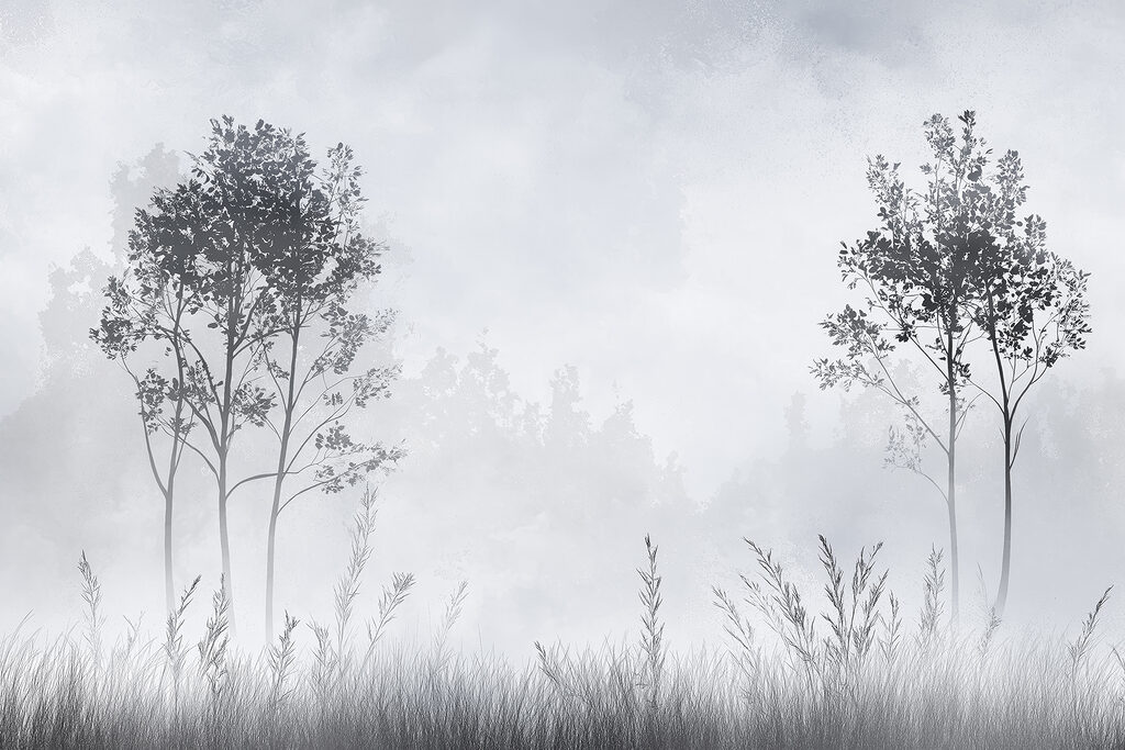 Paesaggio nebbioso con alberi ed erba Paesaggio nebbioso con alberi ed erba