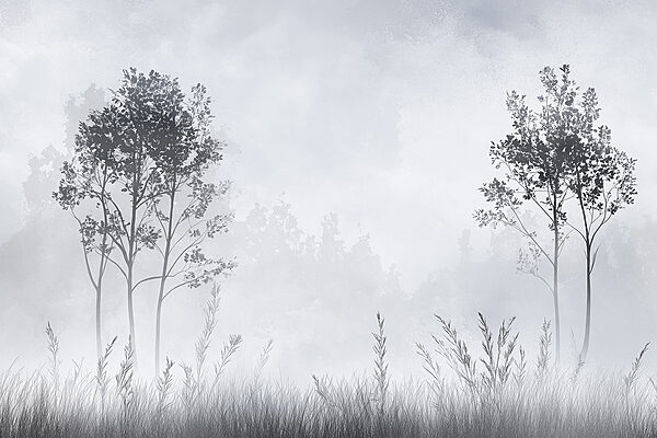 Paesaggio nebbioso con alberi ed erba Paesaggio nebbioso con alberi ed erba