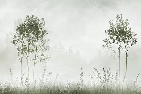 Paesaggio nebbioso con alberi ed erba Paesaggio nebbioso con alberi ed erba