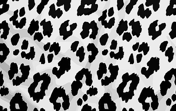 Primo piano di una pelle di animale in bianco e nero Primo piano di una pelle di animale in bianco e nero