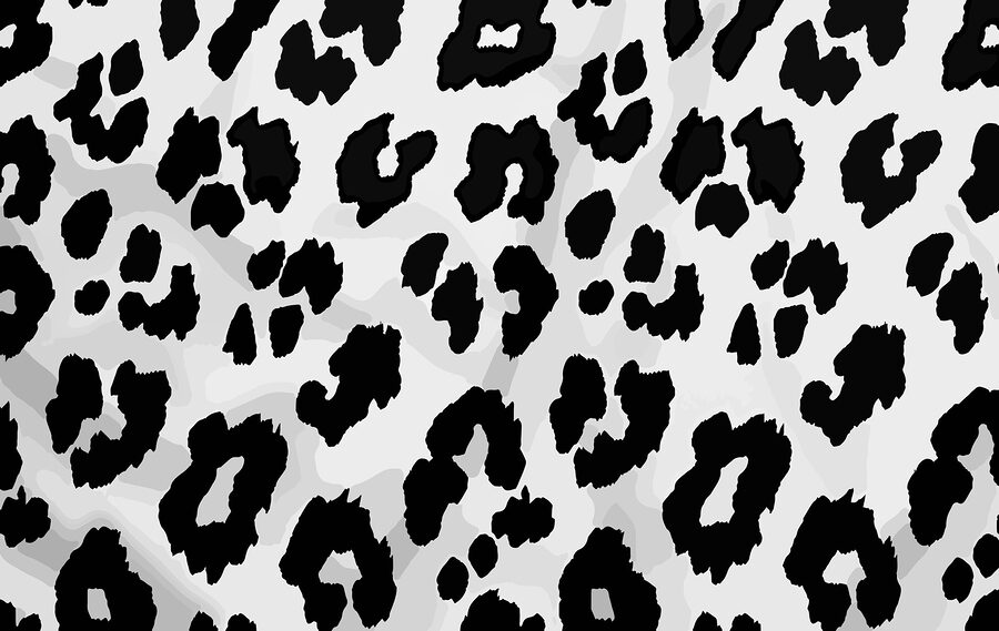 Primo piano di una pelle di animale in bianco e nero