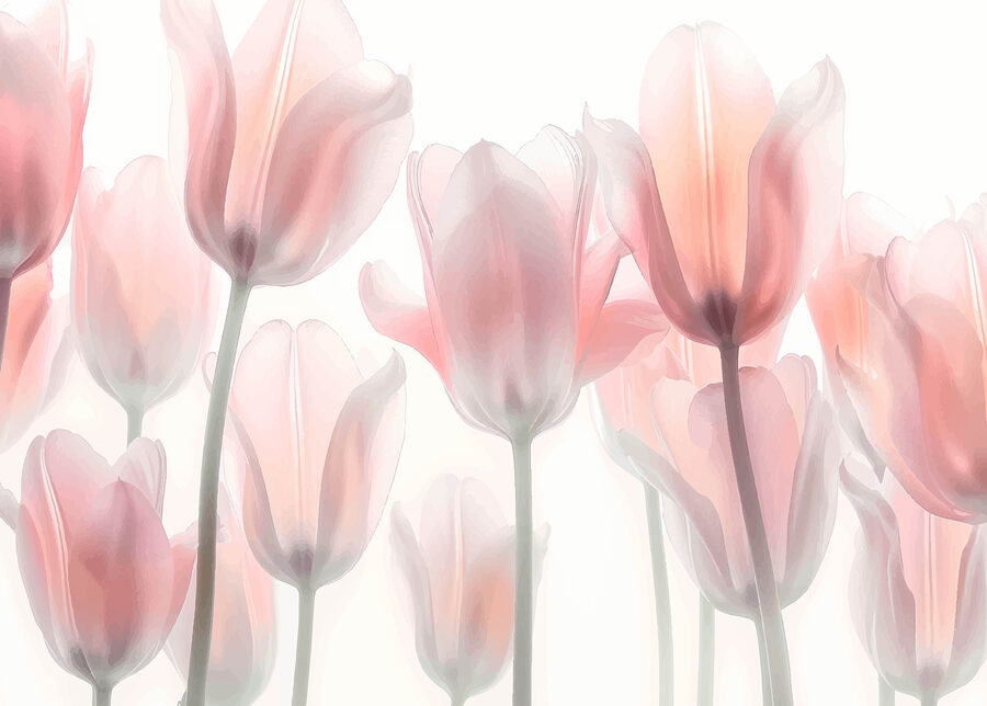 Gruppo di fiori rosa