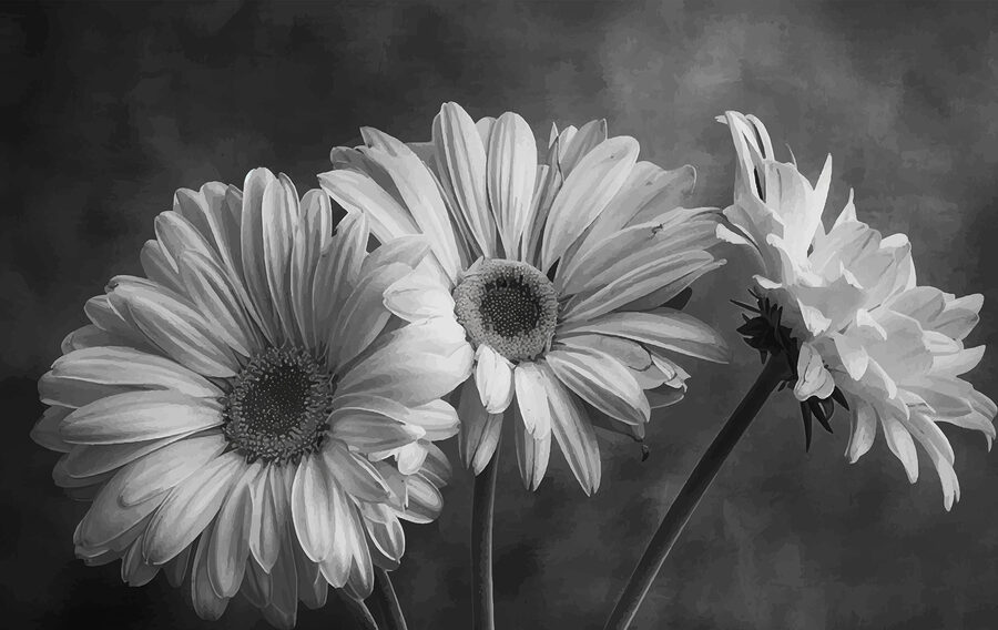 Gruppo di fiori con petali
