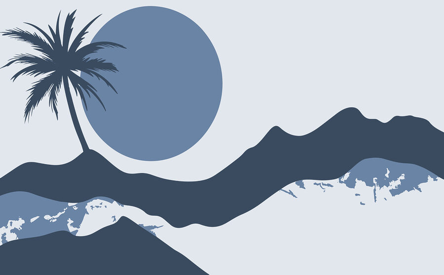 Silhouette di una palma e di una luna
