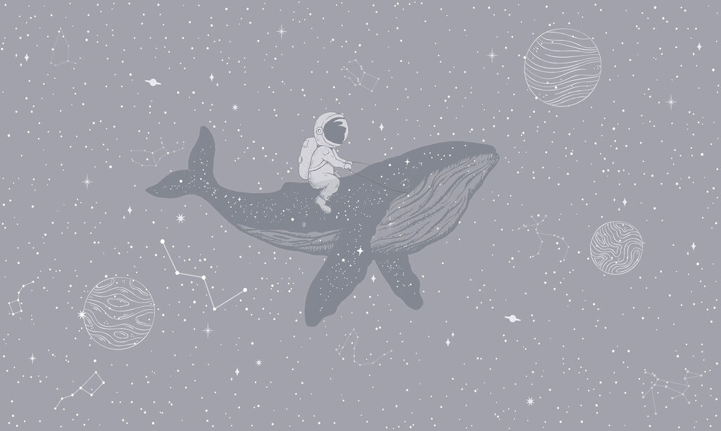 Person riding a whale