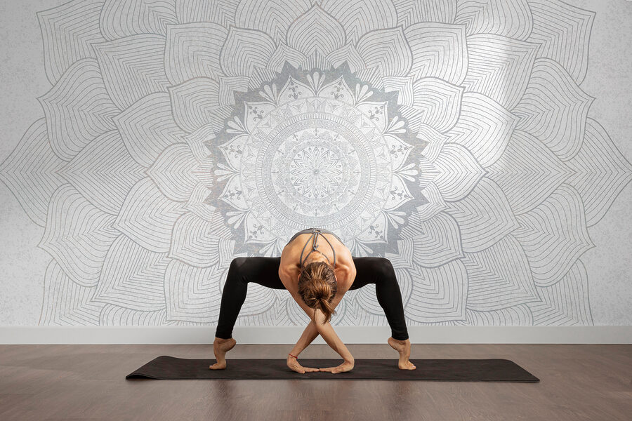 Mandala bianco e grigio