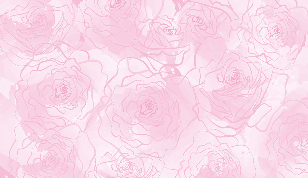 Rose rosa su sfondo bianco Rose rosa su sfondo bianco