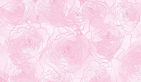 Rose rosa su sfondo bianco Rose rosa su sfondo bianco