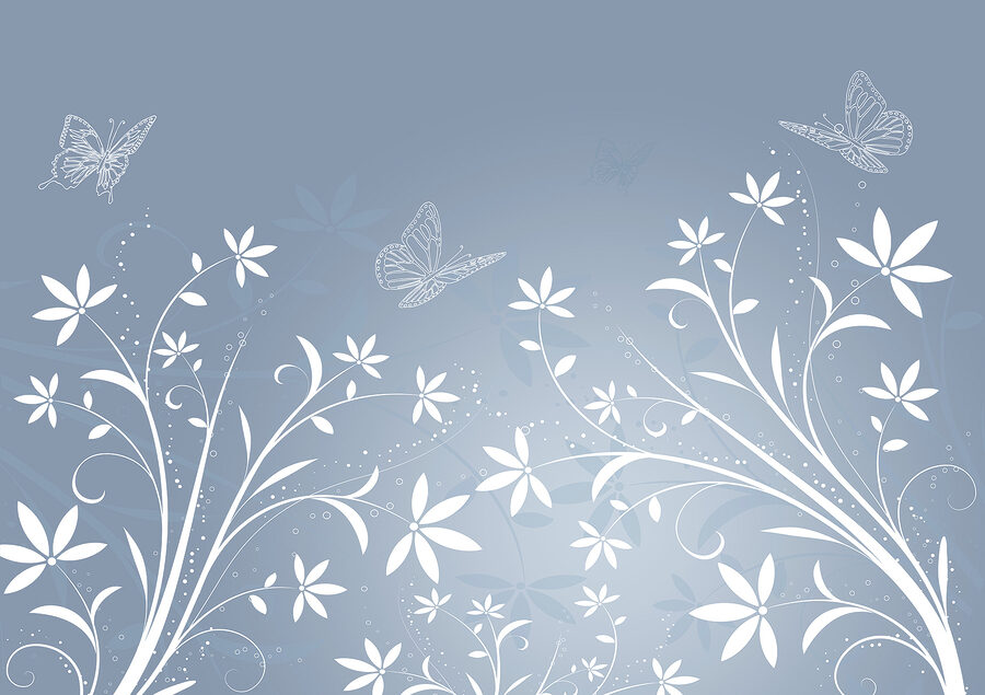 Fiori bianchi e farfalle su sfondo blu Fiori bianchi e farfalle su sfondo blu