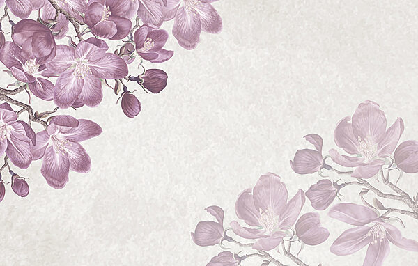 Fiori viola su sfondo bianco Fiori viola su sfondo bianco